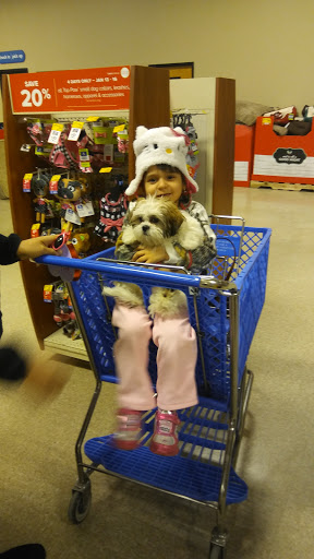 Pet Supply Store «PetSmart», reviews and photos, 1125 Quentin Rd, Lebanon, PA 17042, USA