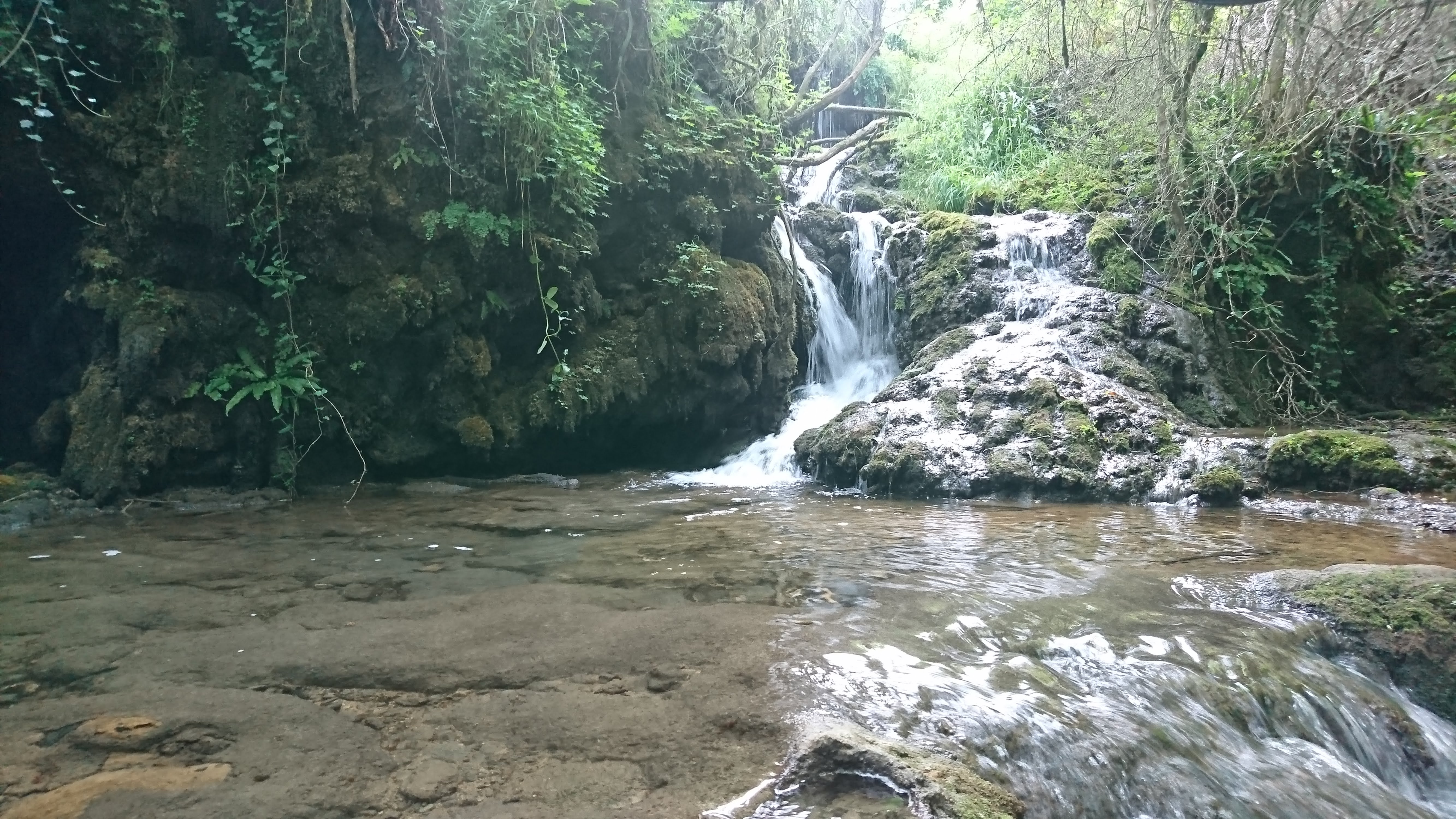 Photo n° 3 de l'avis de Fred.o fait le 26/07/2019 à 12:52