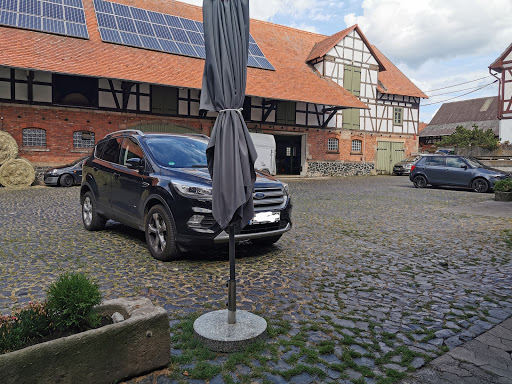 Kleintierklinik Dr. Wolfram Lemmer unter Ebsdorfergrund, 
