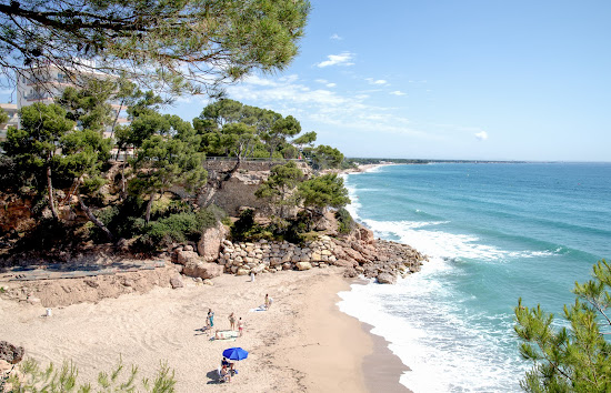 Cala Dels Vienesos