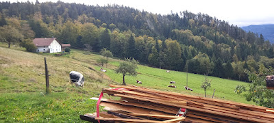 RAMONCHAMP à Ramonchamp