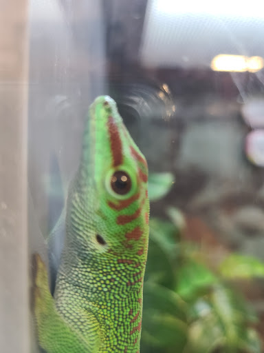 Pet Supply Store «Petco Animal Supplies», reviews and photos, 3731 Gateway Dr, Eau Claire, WI 54701, USA