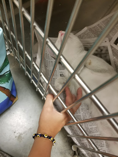 Pet Supply Store «PetSmart», reviews and photos, 73 RHL Blvd, South Charleston, WV 25309, USA