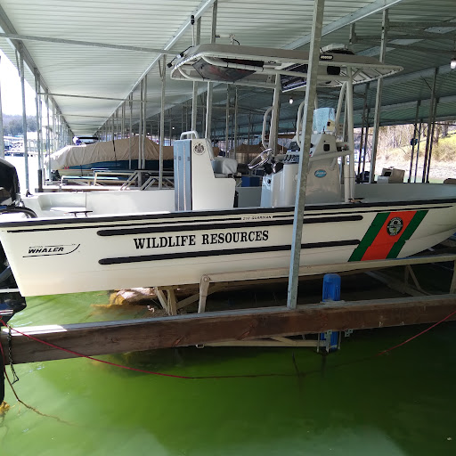 Marina «Mitchell Creek Marina», reviews and photos, 1260 Livingston Boat Dock Rd, Allons, TN 38541, USA