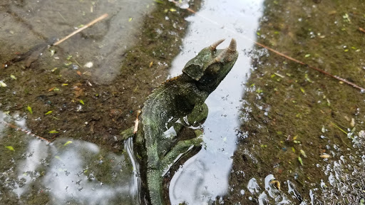 Pet Supply Store «Petco Animal Supplies», reviews and photos, 1410 N Loop 336 W, Conroe, TX 77304, USA