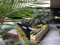 California Aquatics - Photo 9 - Car repair in Santee, CA, El Cajon