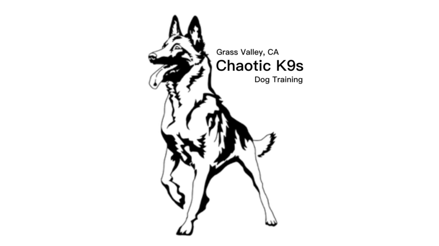 Chaotic K9s Dog Training