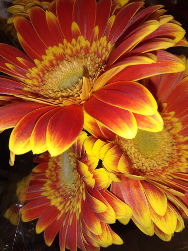 Grocery Store «Safeway», reviews and photos, 70 Cabrillo Hwy, Half Moon Bay, CA 94019, USA