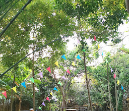 Black's cafe photo