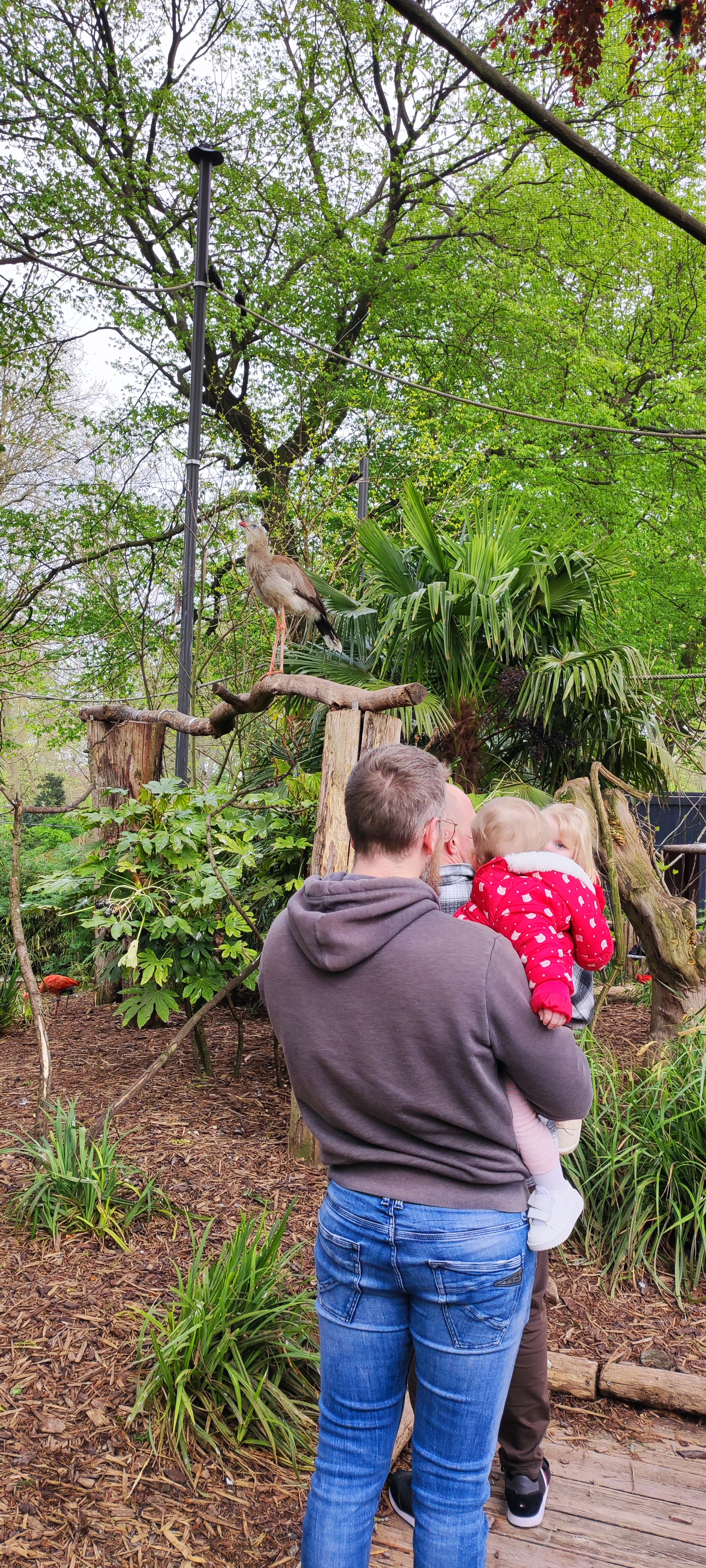 Photo n° 4 de l'avis de Nadia. fait le 29/04/2023 à 16:51