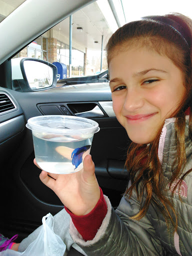 Pet Supply Store «Concord Pet Foods & Supplies», reviews and photos, 1720 Faulkland Rd, Wilmington, DE 19805, USA