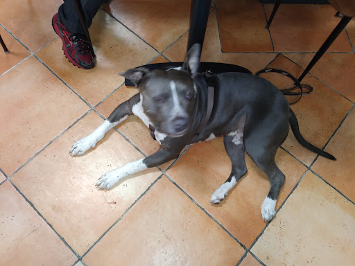 Non-Profit Organization «St. Vincent de Paul Society», reviews and photos