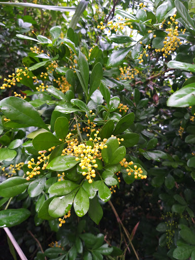 Nhà Nghỉ Gia Hưng