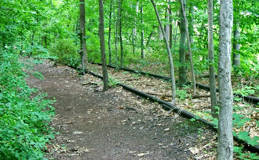 Nature Preserve «Lake Roland Nature Council», reviews and photos, 1000 Lakeside Dr, Baltimore, MD 21210, USA