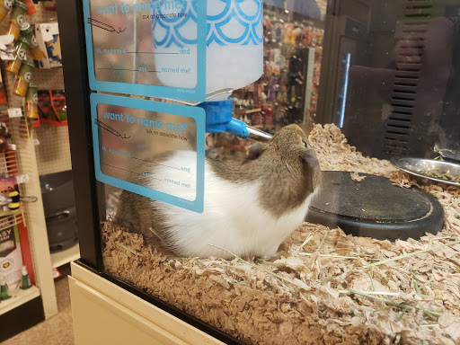 Pet Supply Store «PetSmart», reviews and photos, 28533 Marlboro Ave, Easton, MD 21601, USA