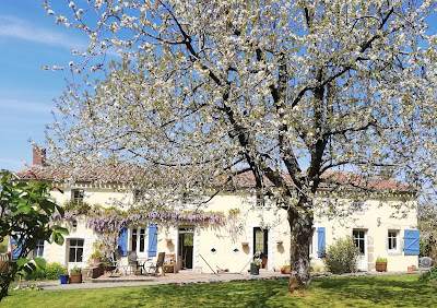 Papillons Chambres D'hotes à Montournais
