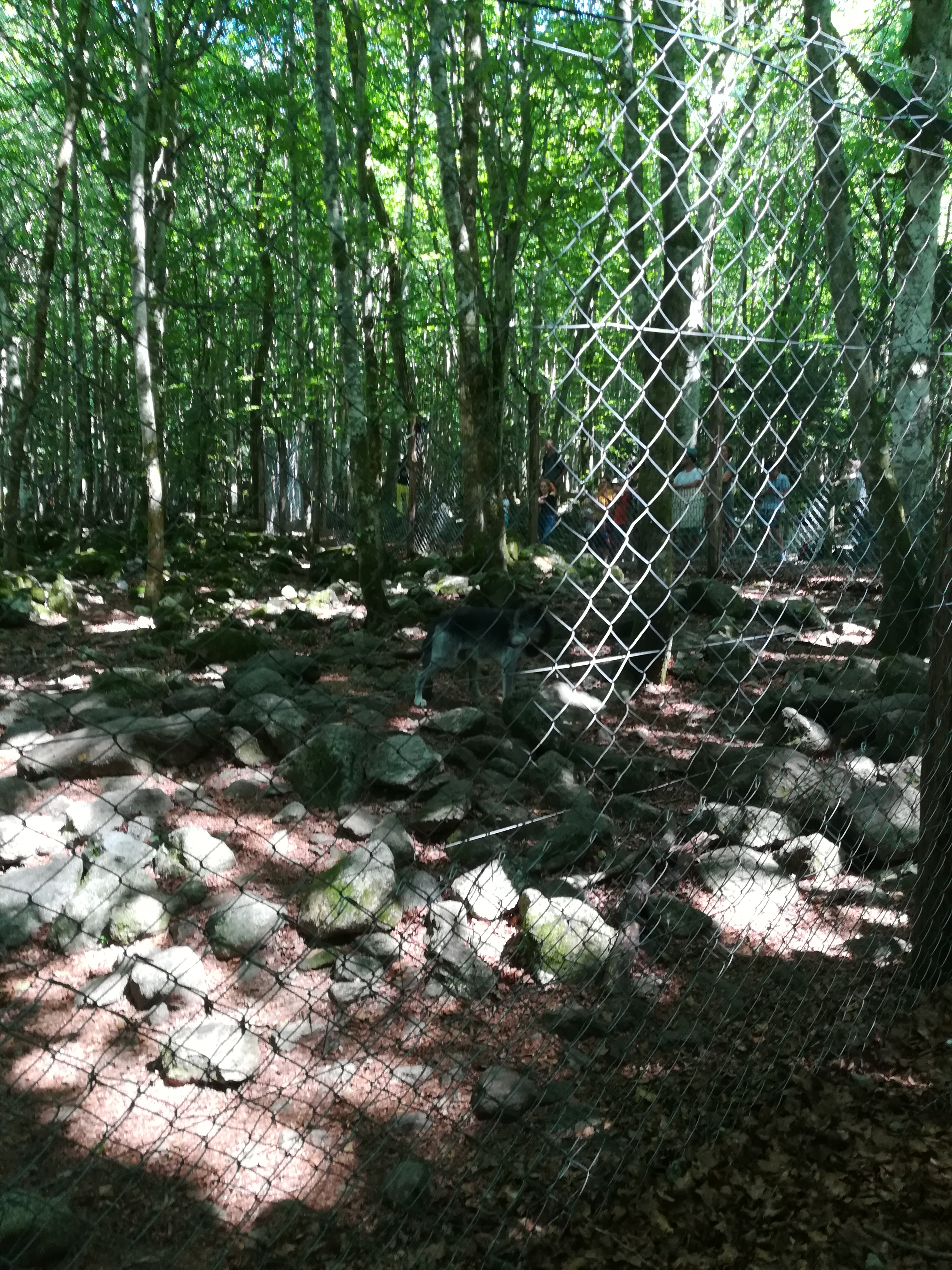 Photo n° 31 de l'avis de Audrey.� fait le 28/07/2017 à 17:11