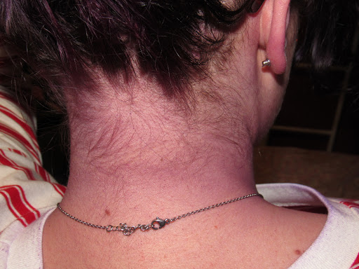 Hair Salon «Regis Salon», reviews and photos, 1665 State Hill Rd, Wyomissing, PA 19610, USA