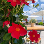 Photo n°2 de l'avis de Tatiana.C fait le 04/06/2023 à 16:50 sur le  Marina Seerestaurant à Bernried am Starnberger See