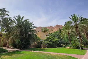 Ein Gedi Botanical Garden image