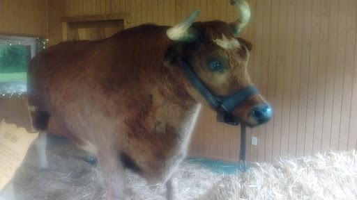 Tourist Attraction «Sycamore Stump», reviews and photos, 1402 Defenbaugh St, Kokomo, IN 46902, USA