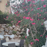 Photo n°2 de l'avis de Leonardo.l fait le 30/07/2022 à 20:04 sur le  Villa Cariola à Caprino Veronese