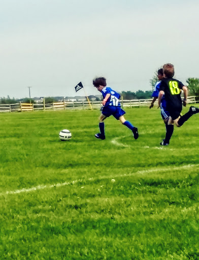 Municipality «South Pointe Park», reviews and photos, 5504 Switch Grass Ln, Naperville, IL 60564, USA