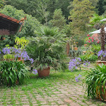 Photo n°2 de l'avis de Monika.t fait le 01/09/2023 à 16:11 sur le  Restaurant 7 Raben à Bad Dürkheim