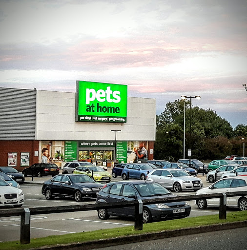 Pets at Home Derby