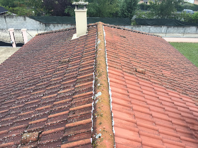 Pro Technic Toiture Artisan Couvreur: couverture, zinguerie, Nettoyage, Démoussage, Hydrofuge, Traitement De Charpente à Bollène