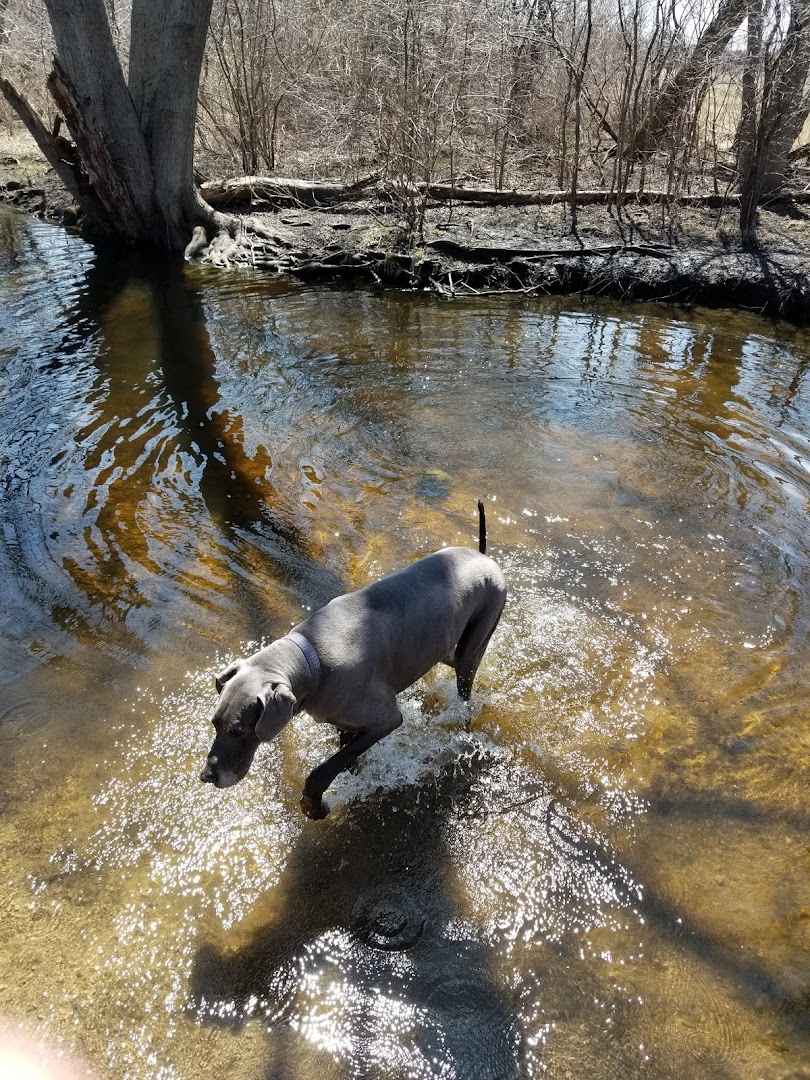 Duck Farm Dog Park