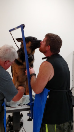 Pet Supply Store «Healthy Pet Center», reviews and photos, 775 New Loudon Rd, Latham, NY 12110, USA