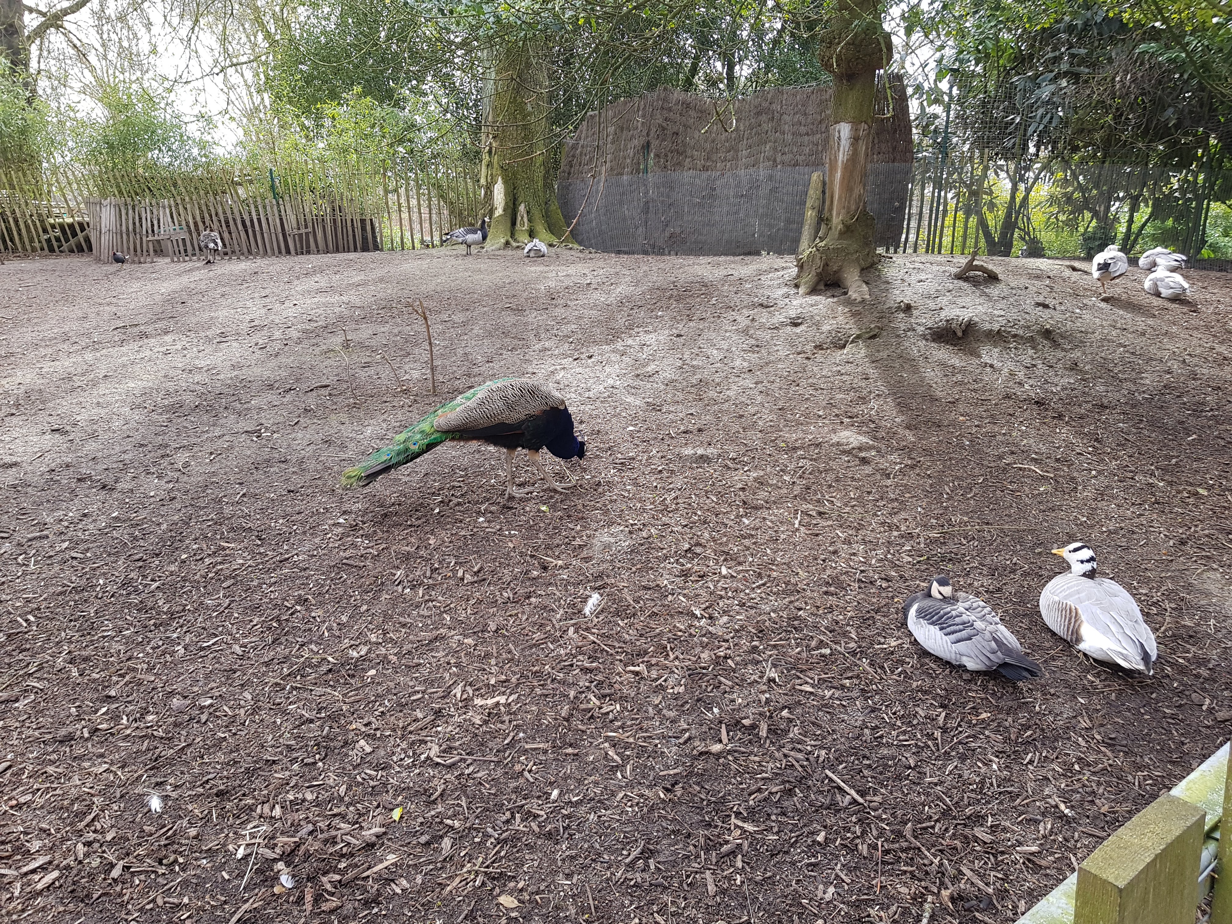 Photo n° 11 de l'avis de Charbel.l fait le 17/03/2019 à 23:45