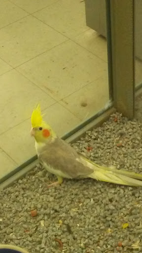 Pet Supply Store «Pet Valu», reviews and photos, 541 S Breiel Blvd, Middletown, OH 45044, USA