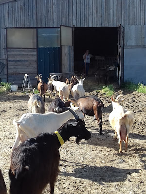 La Ferme Du Bergognon à Altier