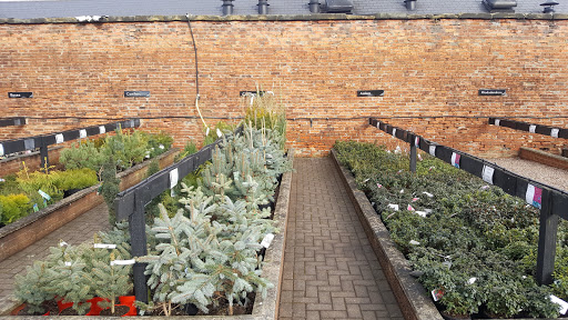 Vertical garden Rotherham