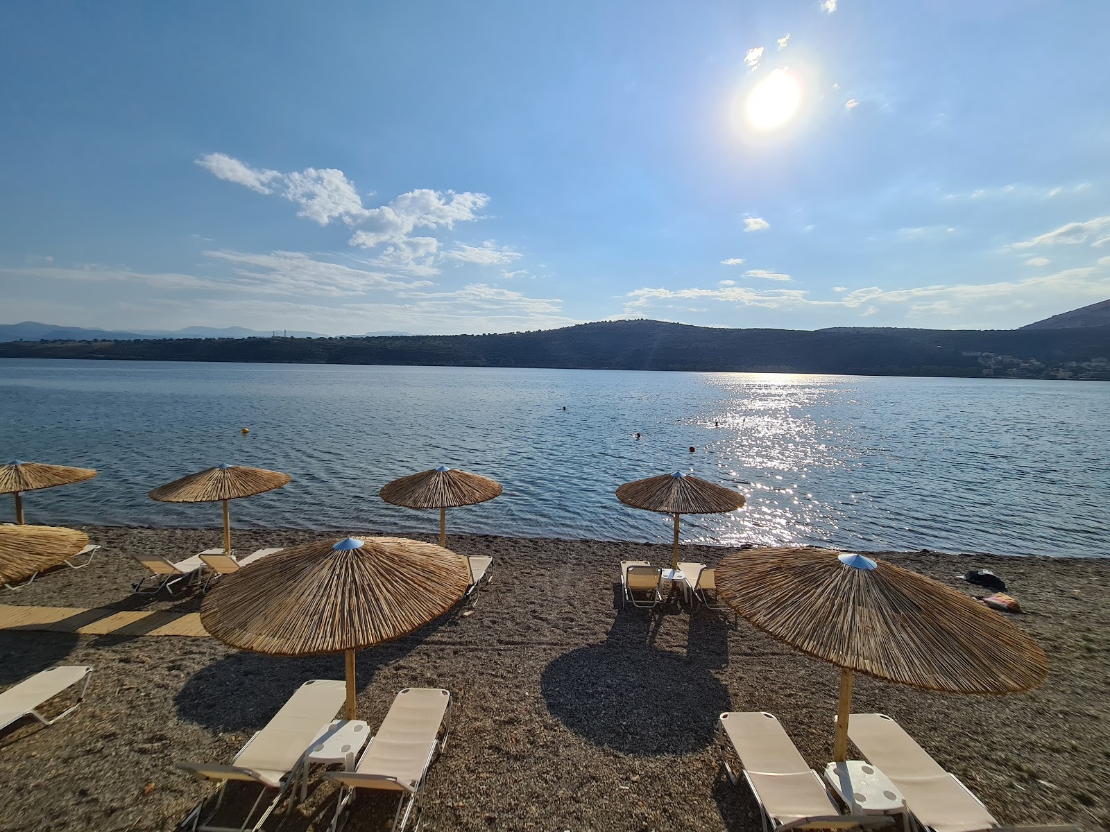 Fotografija Amphilochia west z rjava voda površino