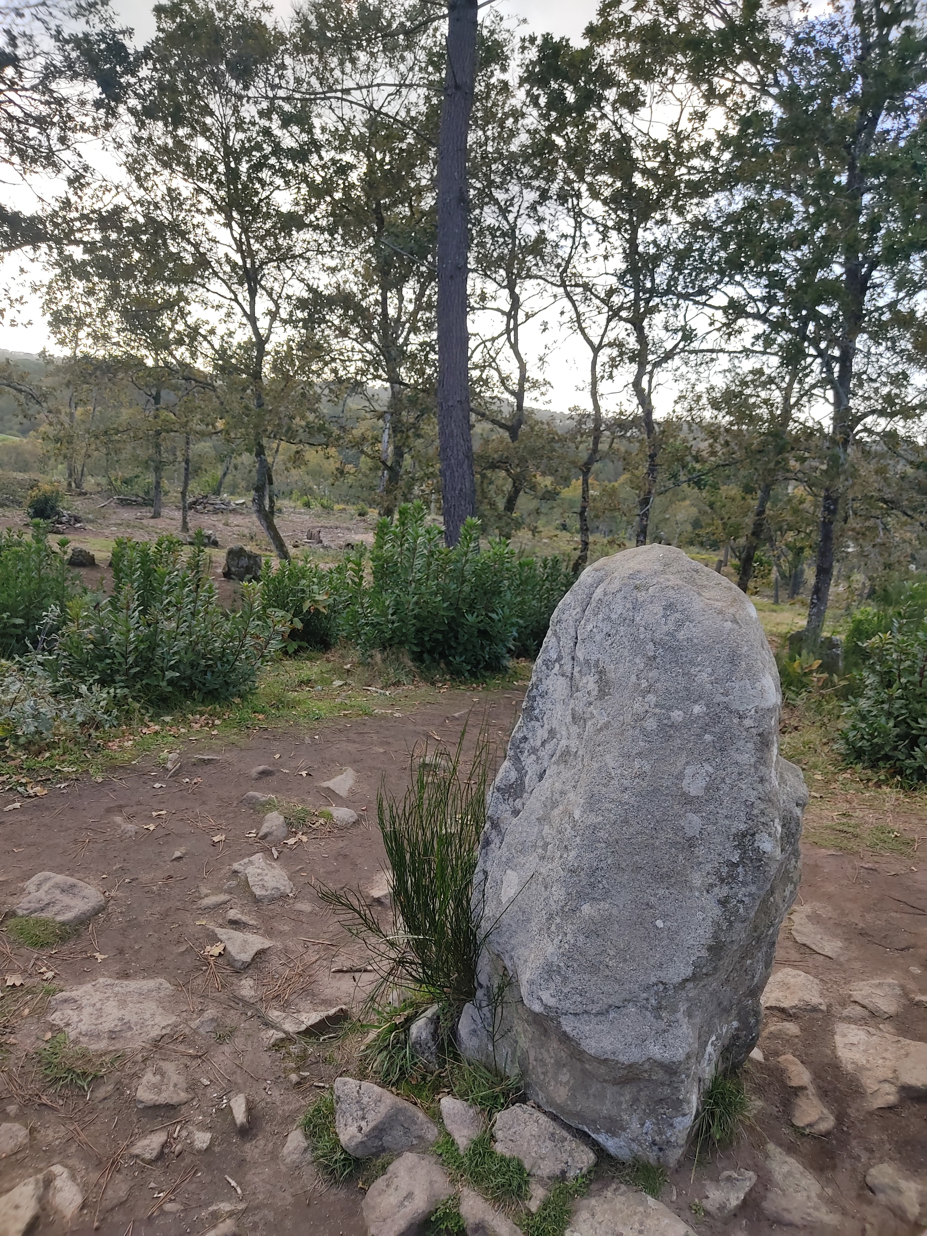 Photo n° 3 de l'avis de Yann.e fait le 29/10/2021 à 14:59