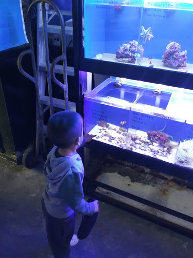 Tropical Fish Store «Sunset Pet & Supplies», reviews and photos, 1373 Sunset Blvd, Los Angeles, CA 90026, USA