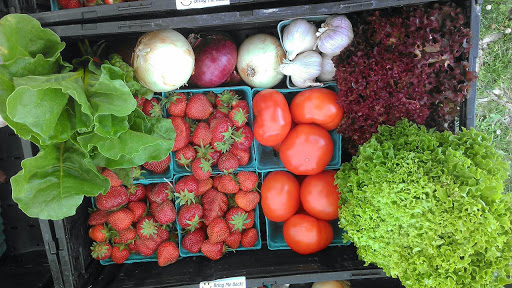 Produce Market «Sunscape Farms», reviews and photos, 1420 Creek St, Rochester, NY 14625, USA