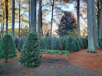 Hudgins Nursery & Garden Center Inc - Photo 7 - Car repair in Hayes, VA, Newport News