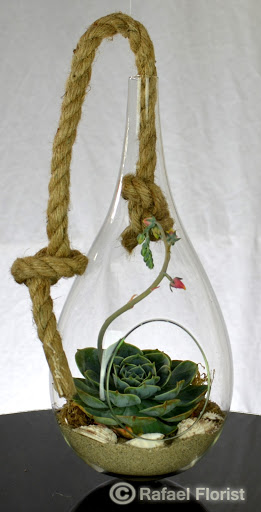 Florist «Rafael Florist», reviews and photos, 891 4th St, San Rafael, CA 94901, USA