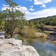 The Bull Creek Preserve