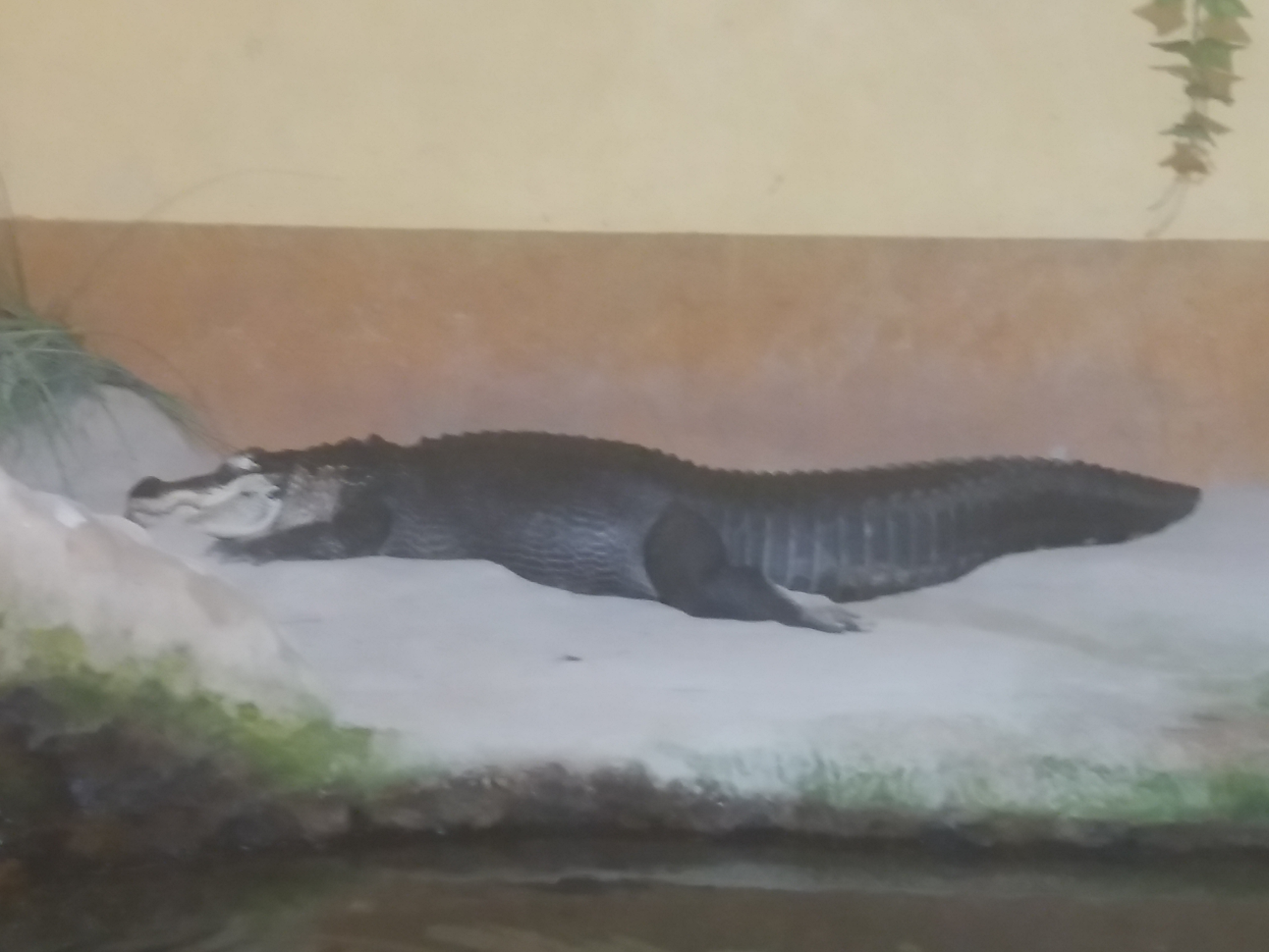 Photo n° 32 de l'avis de Damien.i fait le 21/08/2017 à 19:35