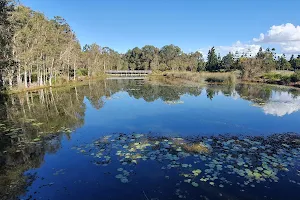 North Lakes Environmental Reserve image