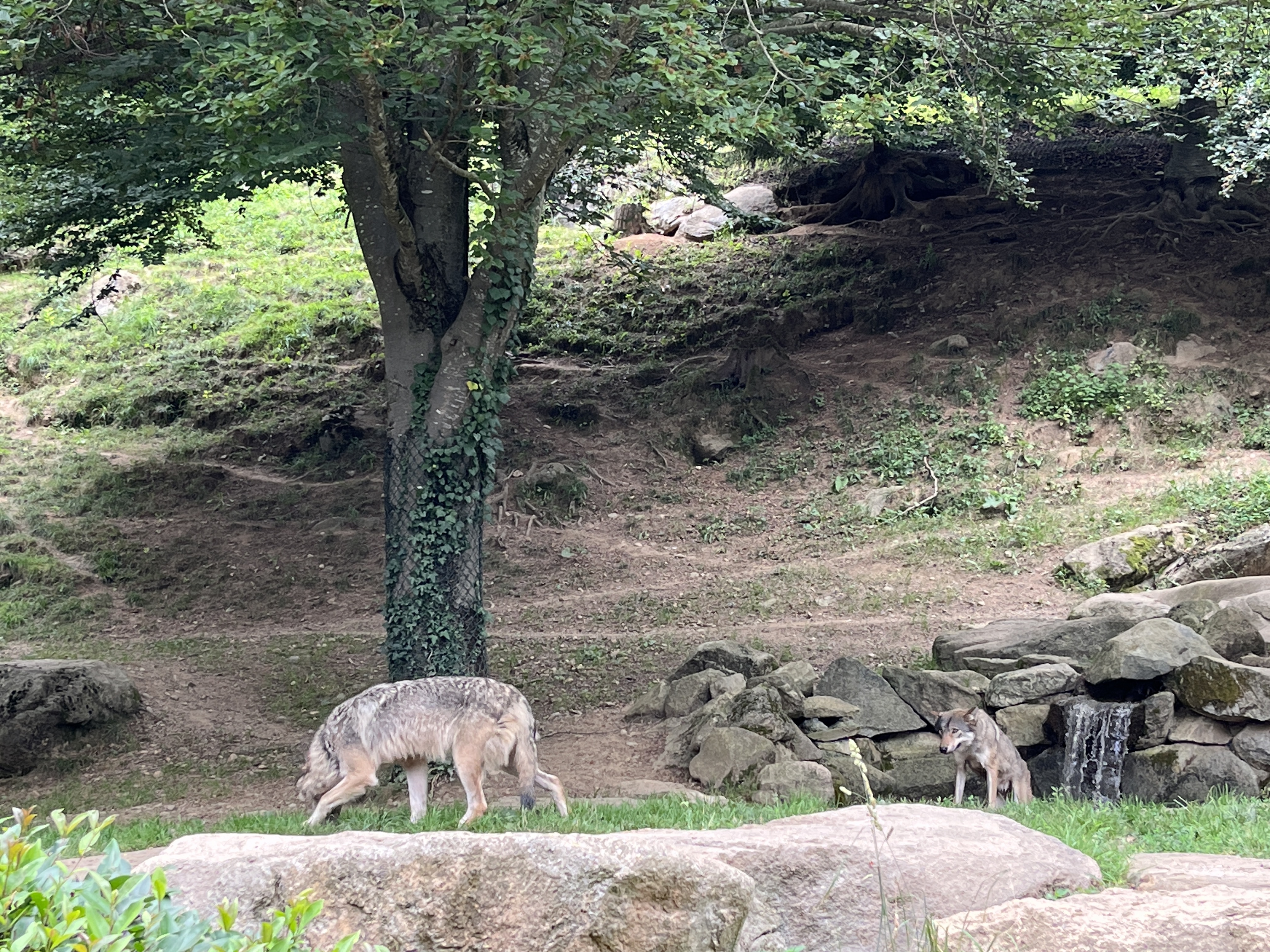 Photo n° 5 de l'avis de QIN.I fait le 16/07/2023 à 10:58