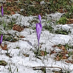 Photo n°6 de l'avis de Claudio.i fait le 18/07/2018 à 03:07 sur le  Rifugio Peschiera Zamboni à Febbio