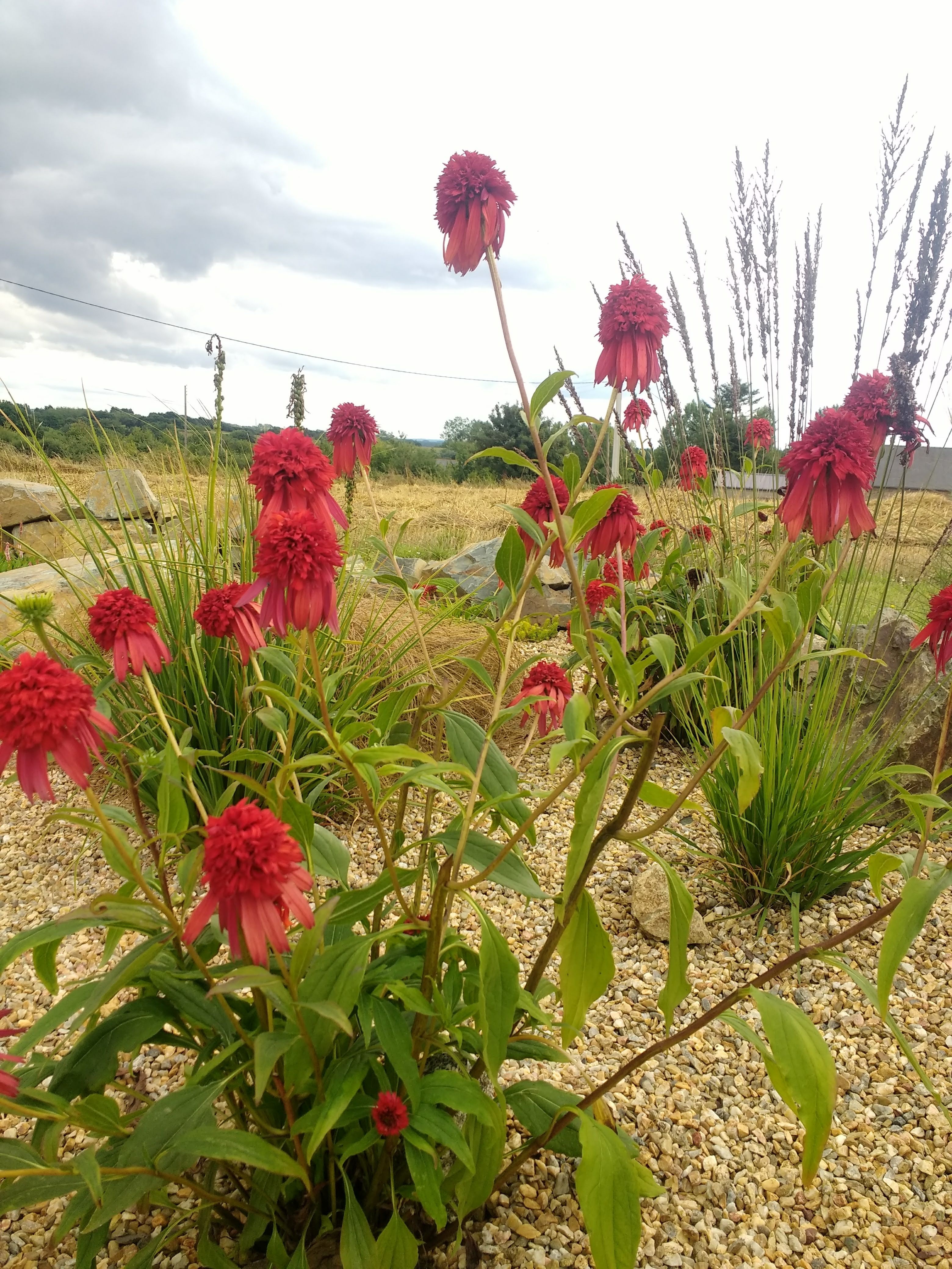Photo n° 2 de l'avis de Laurence.p fait le 29/07/2019 à 14:46