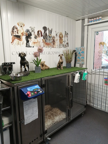 Canine Couture Grooming Salon - Doncaster