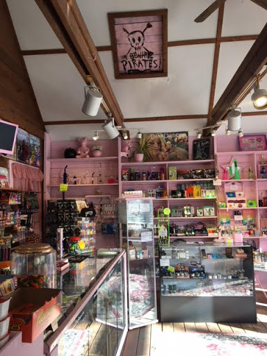 Tobacco Shop «Pirate Girl Smoke Boutique», reviews and photos, 297 Court St, Plymouth, MA 02360, USA